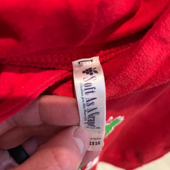 Kids Philadelphia Phillies / Phillie Phanatic Hoodie - Picture 3 of 3